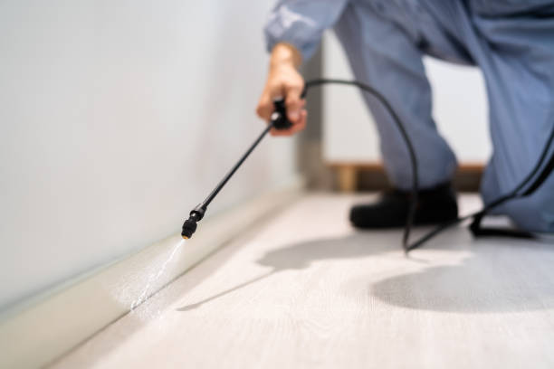 Licensed Mosquito Control service in Golden Meadow, LA - Show Me Pest Control