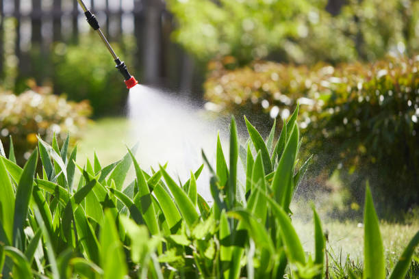 24/7 Emergency Mosquito Control experts in Golden Meadow, LA