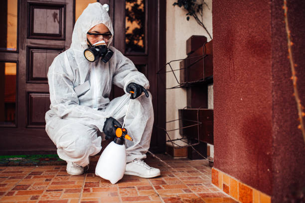 Reliable Mosquito Control contractor in Golden Meadow, LA by Show Me Pest Control